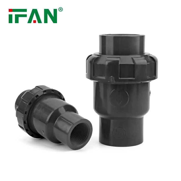 PVC Check Valve 24 PVC Check Valve 24